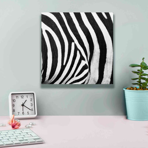Image of 'Zebra IV' by Debra Van Swearingen, Canvas Wall Art,12 x 12