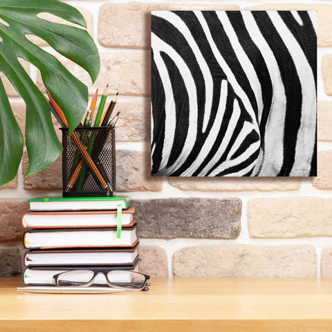 Image of 'Zebra IV' by Debra Van Swearingen, Canvas Wall Art,12 x 12