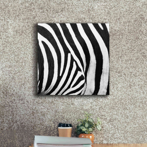 Image of 'Zebra IV' by Debra Van Swearingen, Canvas Wall Art,18 x 18