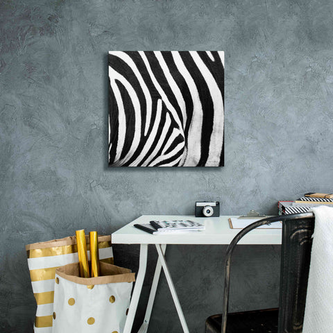 Image of 'Zebra IV' by Debra Van Swearingen, Canvas Wall Art,18 x 18