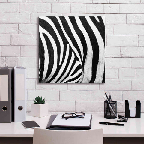 Image of 'Zebra IV' by Debra Van Swearingen, Canvas Wall Art,18 x 18