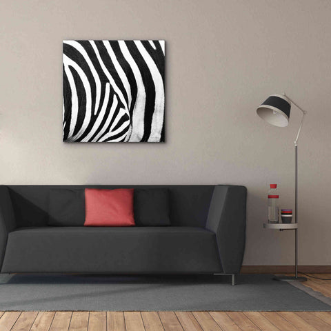 Image of 'Zebra IV' by Debra Van Swearingen, Canvas Wall Art,37 x 37
