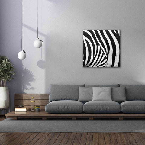 Image of 'Zebra IV' by Debra Van Swearingen, Canvas Wall Art,37 x 37