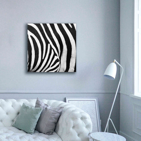 Image of 'Zebra IV' by Debra Van Swearingen, Canvas Wall Art,37 x 37