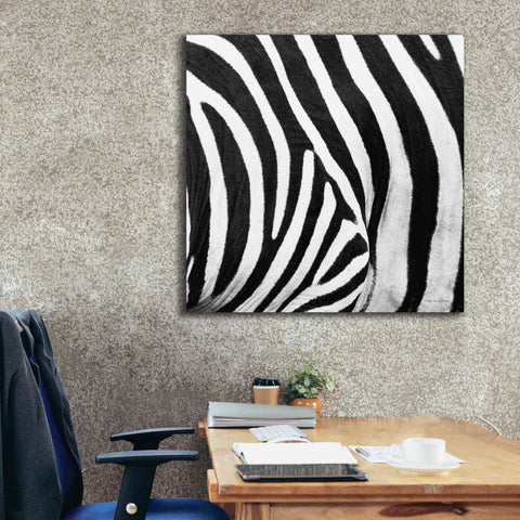 Image of 'Zebra IV' by Debra Van Swearingen, Canvas Wall Art,37 x 37