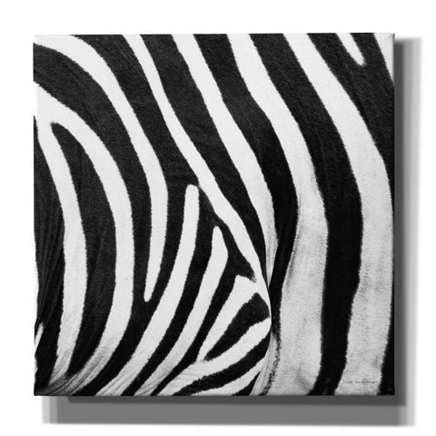 Image of 'Zebra IV' by Debra Van Swearingen, Canvas Wall Art,12x12x1.1x0,18x18x1.1x0,26x26x1.74x0,37x37x1.74x0
