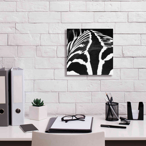 Image of 'Zebra V' by Debra Van Swearingen, Canvas Wall Art,12 x 12