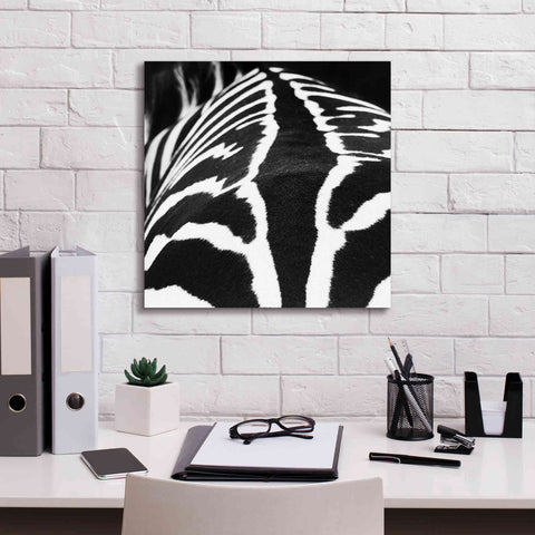 Image of 'Zebra V' by Debra Van Swearingen, Canvas Wall Art,18 x 18