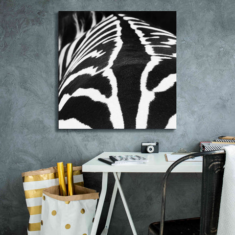 Image of 'Zebra V' by Debra Van Swearingen, Canvas Wall Art,26 x 26