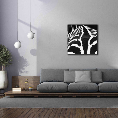 Image of 'Zebra V' by Debra Van Swearingen, Canvas Wall Art,37 x 37