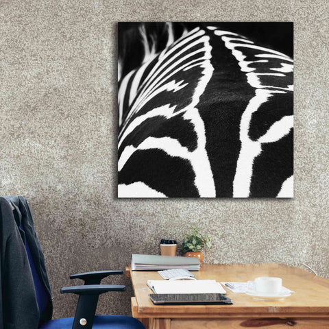 Image of 'Zebra V' by Debra Van Swearingen, Canvas Wall Art,37 x 37