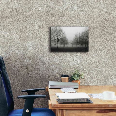 Image of 'Morning Mist' by Debra Van Swearingen, Canvas Wall Art,18 x 12