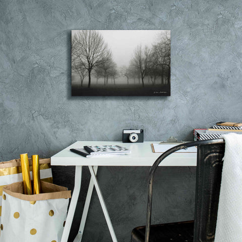 Image of 'Morning Mist' by Debra Van Swearingen, Canvas Wall Art,18 x 12