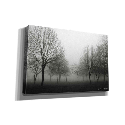 Image of 'Morning Mist' by Debra Van Swearingen, Canvas Wall Art,18x12x1.1x0,26x18x1.1x0,40x26x1.74x0,60x40x1.74x0