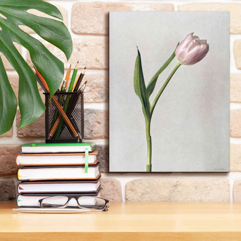 Image of 'Light Tulips II' by Debra Van Swearingen, Canvas Wall Art,12 x 16