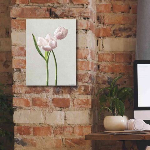 Image of 'Light Tulips III' by Debra Van Swearingen, Canvas Wall Art,12 x 16