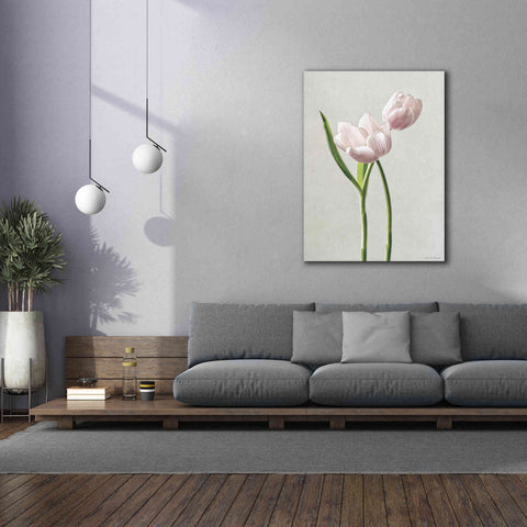 Image of 'Light Tulips III' by Debra Van Swearingen, Canvas Wall Art,40 x 54