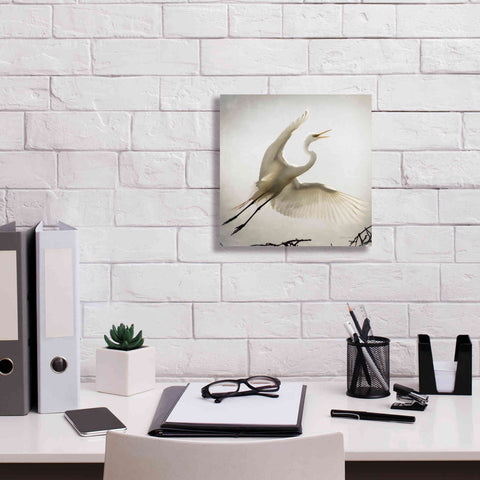 Image of 'Emergence' by Debra Van Swearingen, Canvas Wall Art,12 x 12