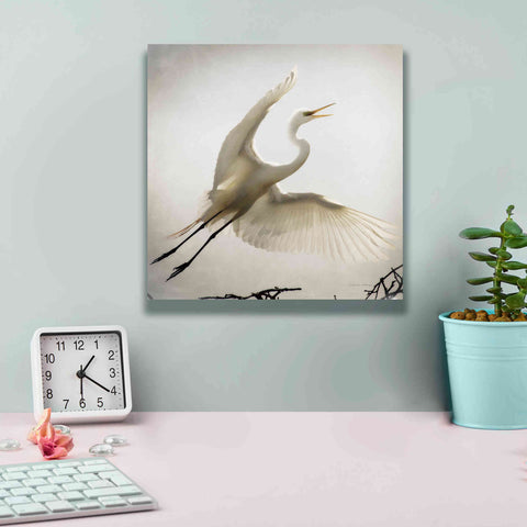 Image of 'Emergence' by Debra Van Swearingen, Canvas Wall Art,12 x 12