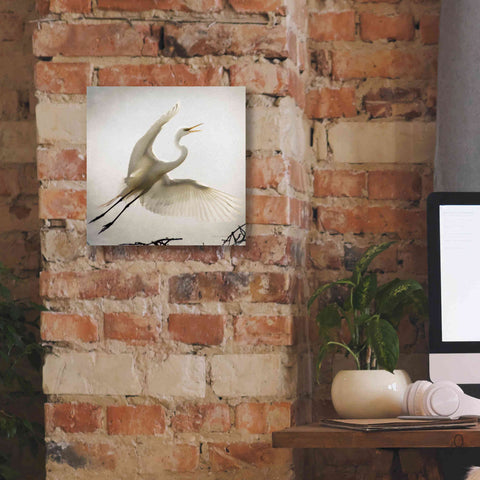 Image of 'Emergence' by Debra Van Swearingen, Canvas Wall Art,12 x 12