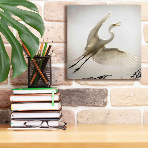 Image of 'Emergence' by Debra Van Swearingen, Canvas Wall Art,12 x 12