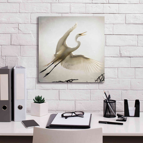 Image of 'Emergence' by Debra Van Swearingen, Canvas Wall Art,18 x 18