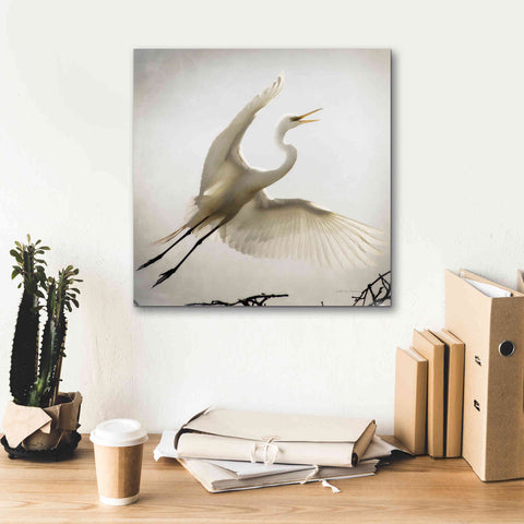 Image of 'Emergence' by Debra Van Swearingen, Canvas Wall Art,18 x 18