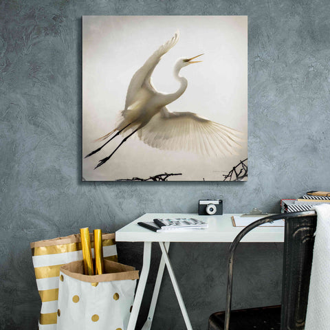 Image of 'Emergence' by Debra Van Swearingen, Canvas Wall Art,26 x 26