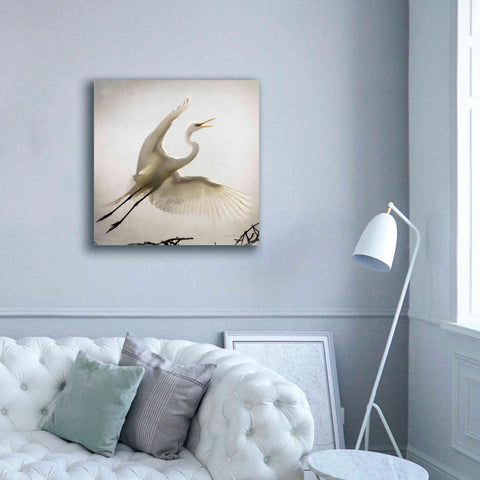 Image of 'Emergence' by Debra Van Swearingen, Canvas Wall Art,37 x 37