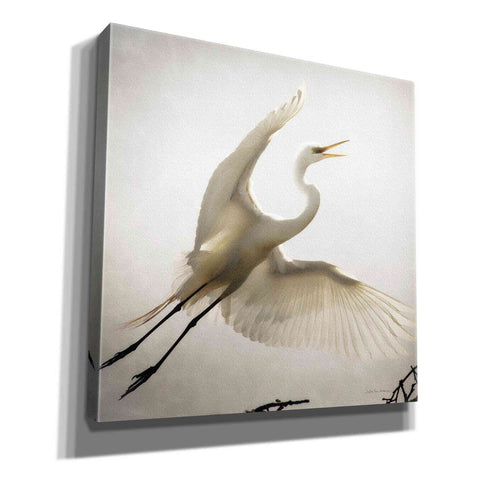 Image of 'Emergence' by Debra Van Swearingen, Canvas Wall Art,12x12x1.1x0,18x18x1.1x0,26x26x1.74x0,37x37x1.74x0