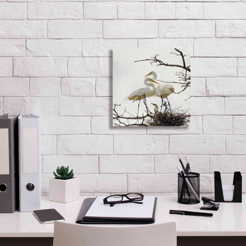 Image of 'Devotion' by Debra Van Swearingen, Canvas Wall Art,12 x 12