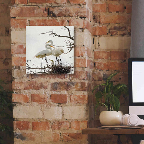 Image of 'Devotion' by Debra Van Swearingen, Canvas Wall Art,12 x 12