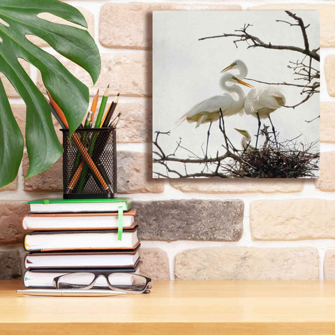 Image of 'Devotion' by Debra Van Swearingen, Canvas Wall Art,12 x 12