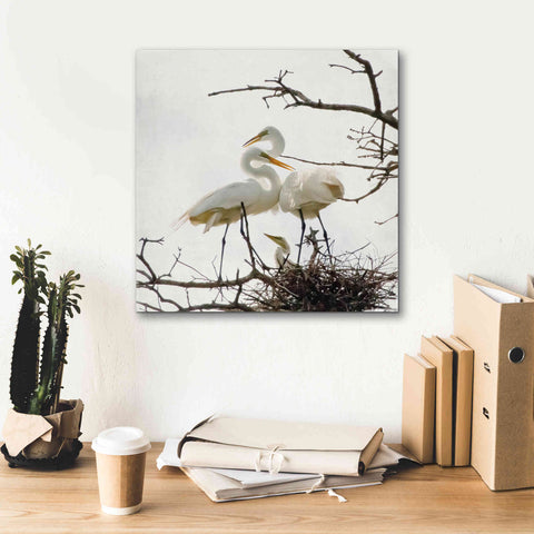 Image of 'Devotion' by Debra Van Swearingen, Canvas Wall Art,18 x 18