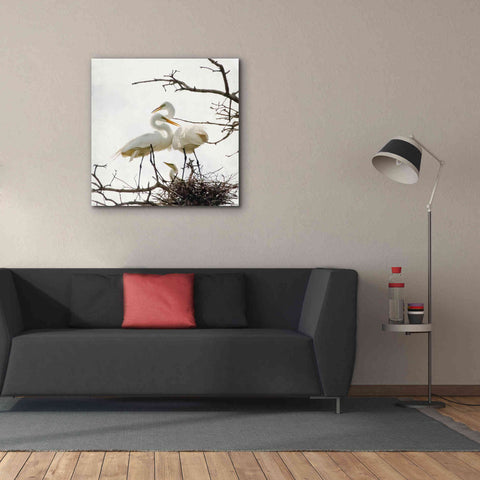 Image of 'Devotion' by Debra Van Swearingen, Canvas Wall Art,37 x 37