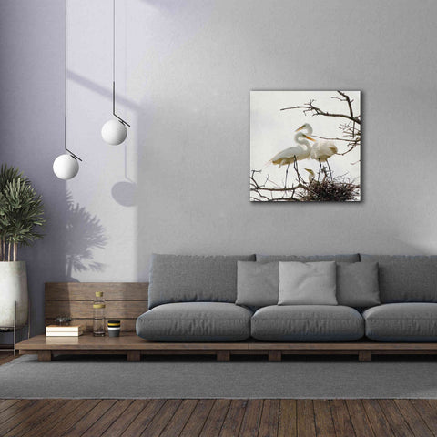 Image of 'Devotion' by Debra Van Swearingen, Canvas Wall Art,37 x 37