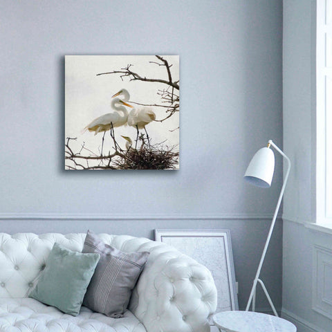 Image of 'Devotion' by Debra Van Swearingen, Canvas Wall Art,37 x 37