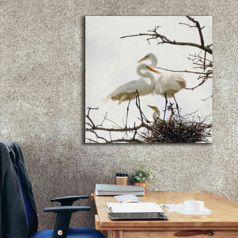 Image of 'Devotion' by Debra Van Swearingen, Canvas Wall Art,37 x 37