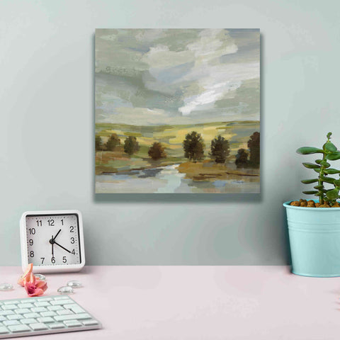Image of 'Country Landscape' by Silvia Vassileva, Canvas Wall Art,12 x 12