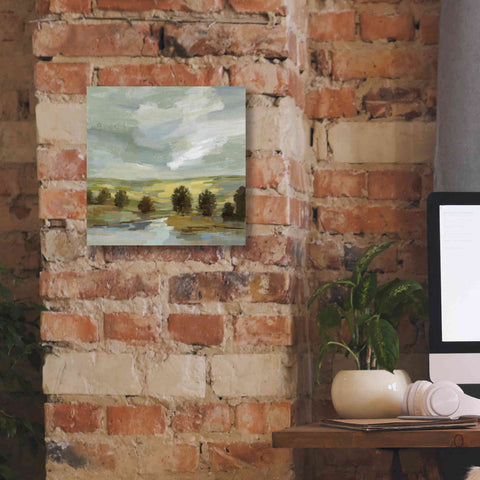 Image of 'Country Landscape' by Silvia Vassileva, Canvas Wall Art,12 x 12