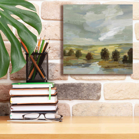 Image of 'Country Landscape' by Silvia Vassileva, Canvas Wall Art,12 x 12