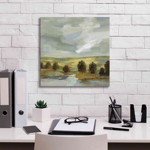 Image of 'Country Landscape' by Silvia Vassileva, Canvas Wall Art,18 x 18