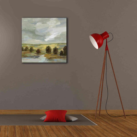 Image of 'Country Landscape' by Silvia Vassileva, Canvas Wall Art,26 x 26