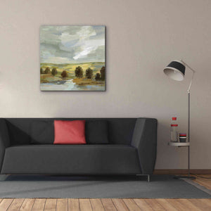 'Country Landscape' by Silvia Vassileva, Canvas Wall Art,37 x 37