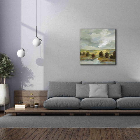 Image of 'Country Landscape' by Silvia Vassileva, Canvas Wall Art,37 x 37