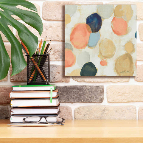 Image of 'Painted Pebbles II Boho' by Silvia Vassileva, Canvas Wall Art,12 x 12