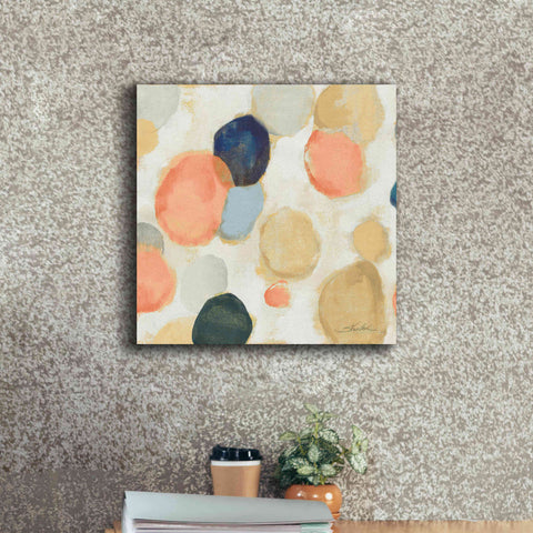 Image of 'Painted Pebbles II Boho' by Silvia Vassileva, Canvas Wall Art,18 x 18