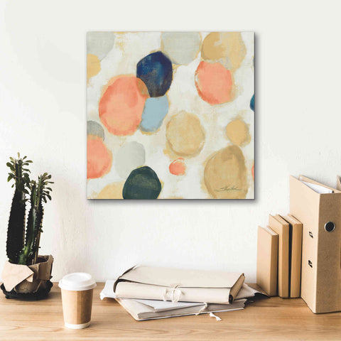 Image of 'Painted Pebbles II Boho' by Silvia Vassileva, Canvas Wall Art,18 x 18