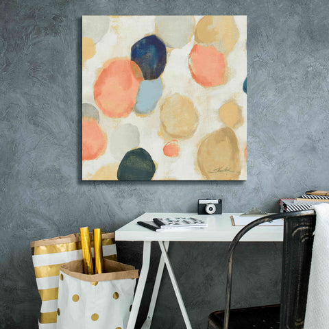 Image of 'Painted Pebbles II Boho' by Silvia Vassileva, Canvas Wall Art,26 x 26