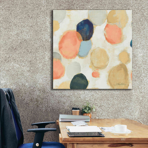 Image of 'Painted Pebbles II Boho' by Silvia Vassileva, Canvas Wall Art,37 x 37